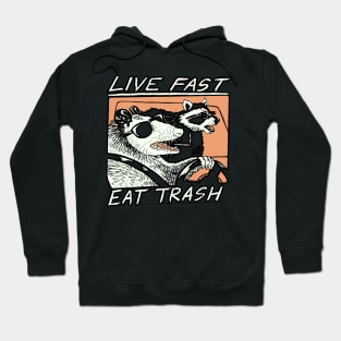 Graphic Raccoons Live Fast Eat Trash Hoodie